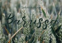 Barussa Font - Featured Image