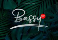 Bassy Font - Featured Image