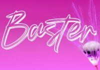Baster Font - Featured Image
