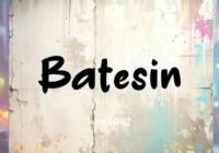 Batesin Font - Featured Image