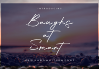 Baughs at Smart Font - Featured Image