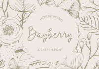 Bayberry Font - Featured Image