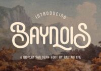Baynois Font - Featured Image