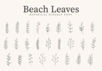 Beach Leaves Font - Featured Image