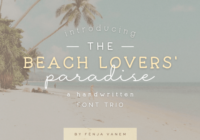 Beach Lovers Paradise Font - Featured Image