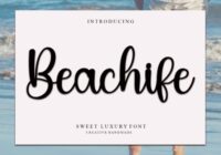 Beachlife Font - Featured Image