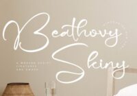 Beathovy Skiny Font - Featured Image