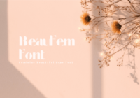 Beaufem Font - Featured Image