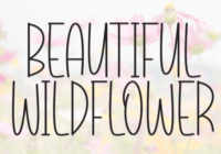 Beautiful Wildflower Font - Featured Image