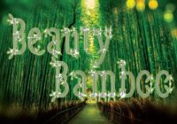 Beauty Bamboo Font - Featured Image