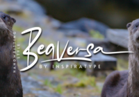 Beaversa Font - Featured Image