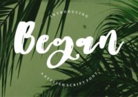 Began Font - Featured Image