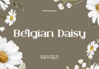 Belgian Daisy Font - Featured Image