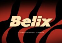 Belix Font - Featured Image