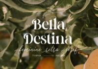 Bella Destina Font - Featured Image