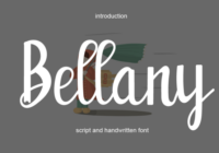 Bellany Font - Featured Image