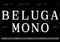 Beluga Mono Font - Featured Image