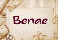 Benae Font - Featured Image
