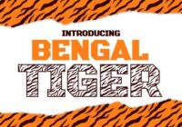 Bengal Tiger Font - Featured Image