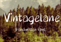 Berenice Font - Featured Image