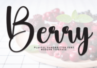 Berry Font - Featured Image