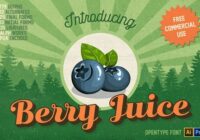 Berry Juice Font - Featured Image