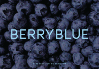 Berryblue Font - Featured Image