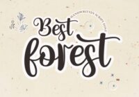 Best Forest Font - Featured Image