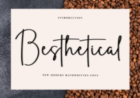 Besthetical Font - Featured Image