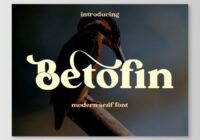 Betofin Font - Featured Image