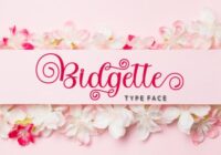 Bidgette Font - Featured Image