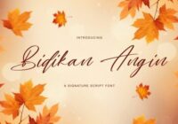 Bidikan Angin Font - Featured Image