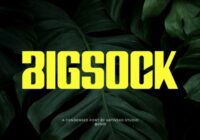 Bigsock Font - Featured Image