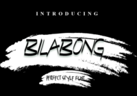 Bilabong Font - Featured Image