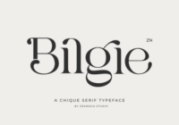 Bilgie Font - Featured Image