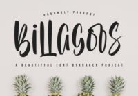 Billagoos Font - Featured Image