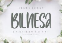 Bilnesa Font - Featured Image