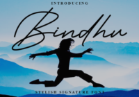 Bindhu Font - Featured Image