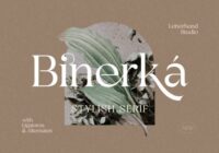 Binerka Font - Featured Image