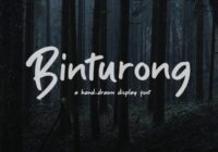 Binturong Font - Featured Image
