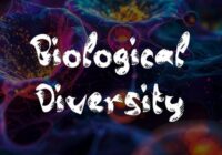 Biological Diversity Font - Featured Image