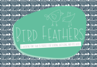 Bird Feathers Font - Featured Image