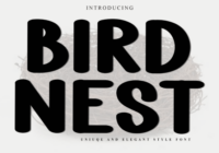Bird Nest Font - Featured Image