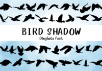 Bird Shadow Font - Featured Image