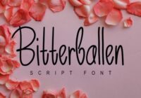 Bitterballen Font - Featured Image