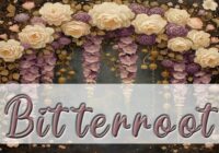 Bitterroot Font - Featured Image