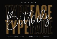 Bittods Duo Font - Featured Image
