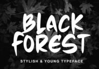 Black Forest Font - Featured Image