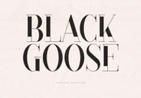 Black Goose Font - Featured Image