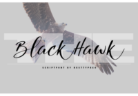 Black Hawk Font - Featured Image